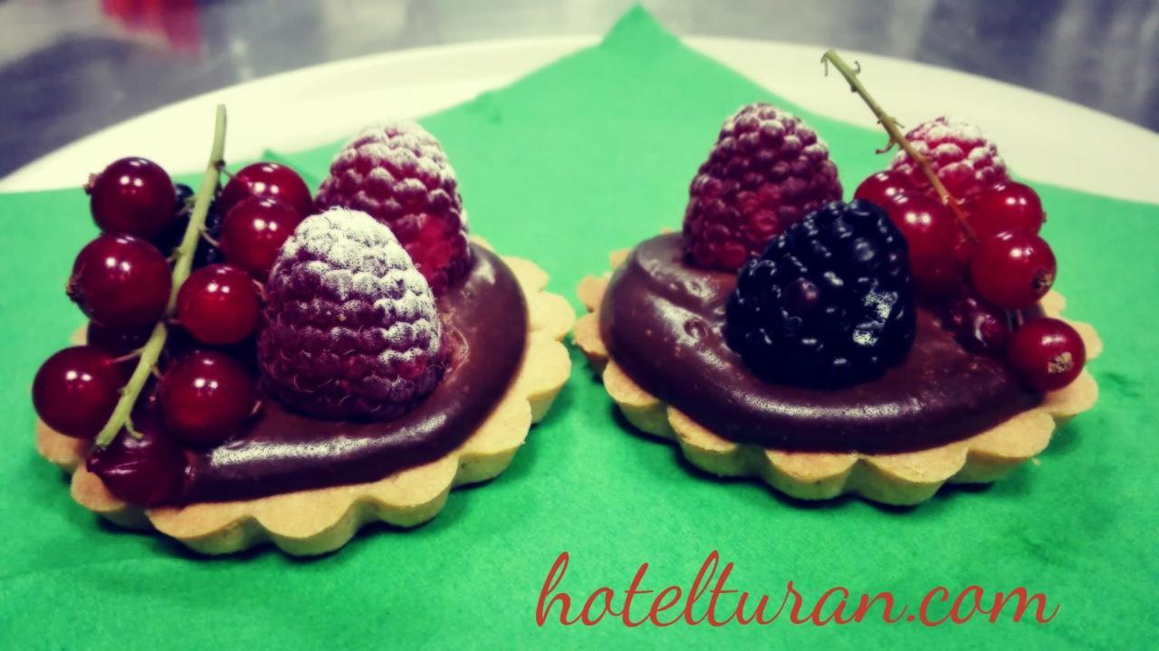Hotel Turan 莱德萨阿尔卑斯 外观 照片